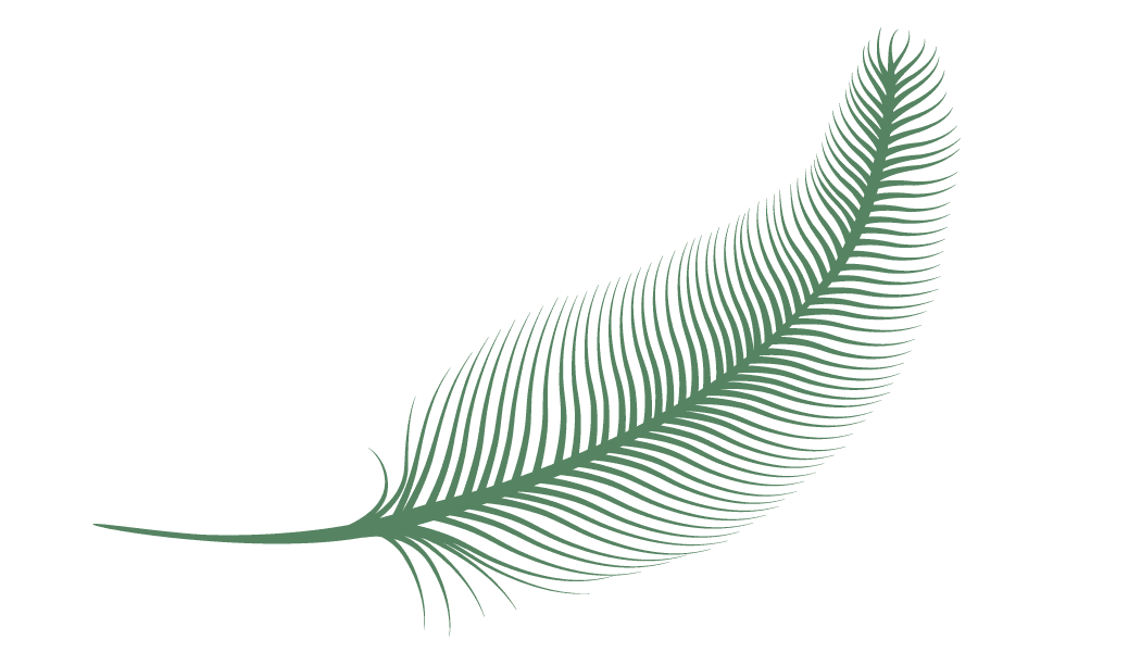 Plume