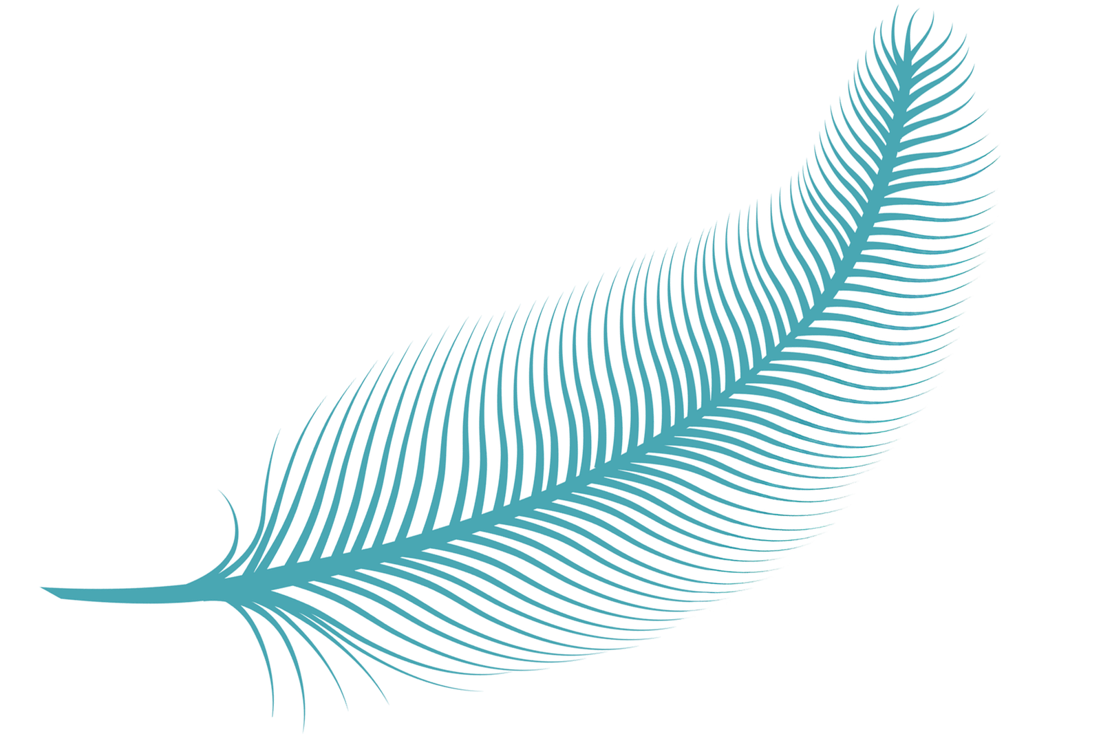 Logo Plume